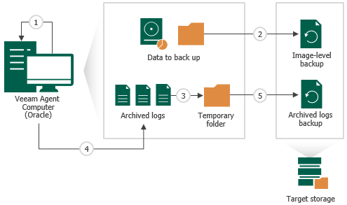 How Oracle Archived Log Backup Works