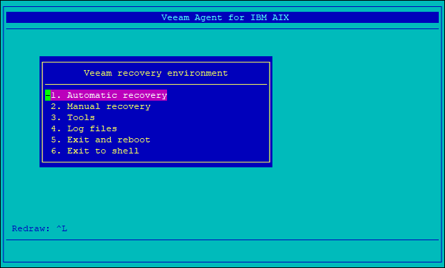 Performing Automatic Recovery