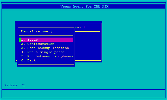 Performing Manual Recovery