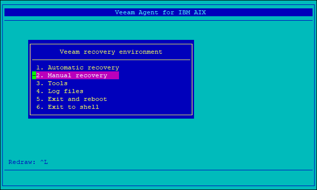 Performing Manual Recovery