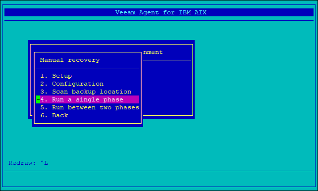 Running Single Recovery Phase