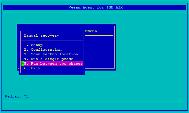 Running Multiple Recovery Phases