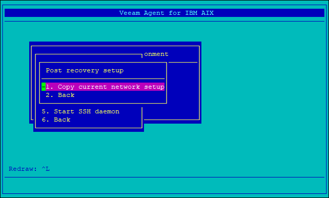 Performing Post-Recovery Setup