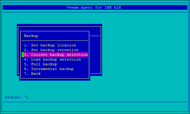 Viewing Current Backup Selection