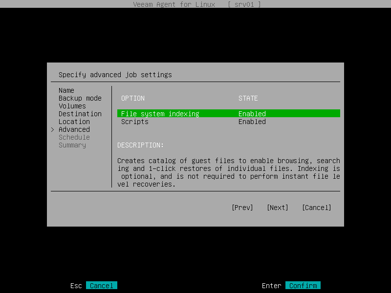 Step 11. Specify Advanced Backup Settings