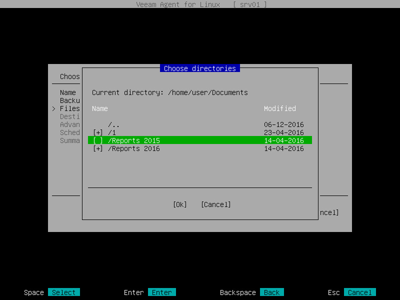 Step 5. Select Files and Directories to Back Up