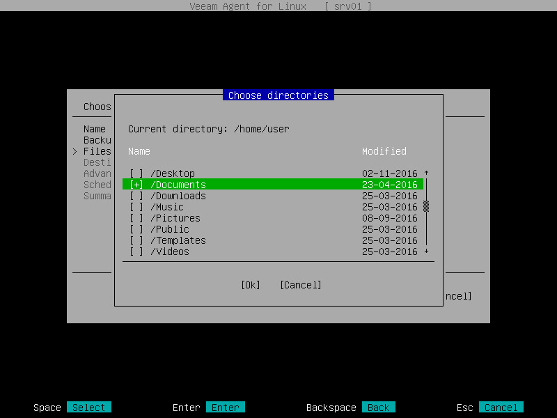 Step 5. Select Files and Directories to Back Up