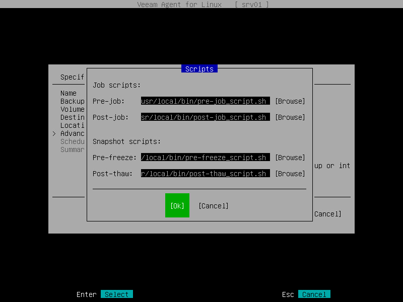 Script Settings