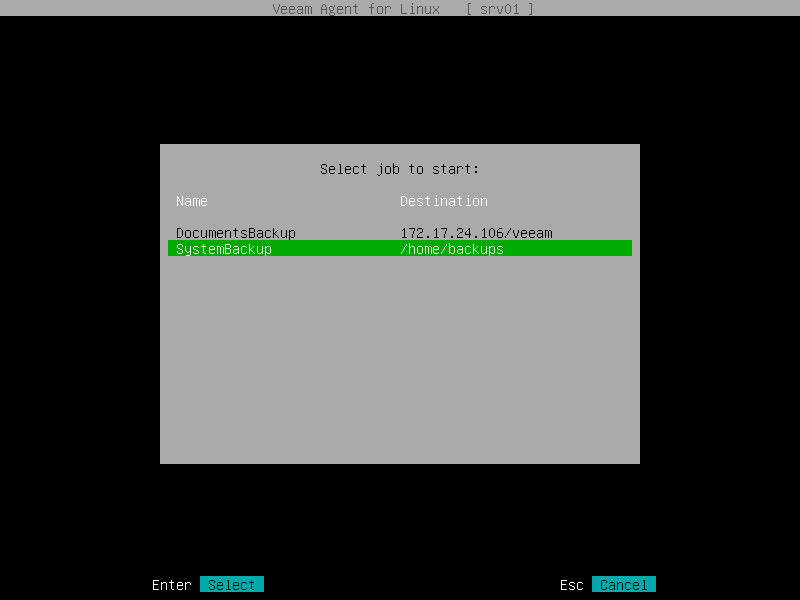 Starting Backup Job from Control Panel