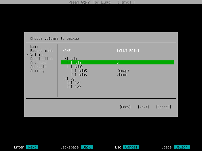 Step 4. Select Volumes to Back Up