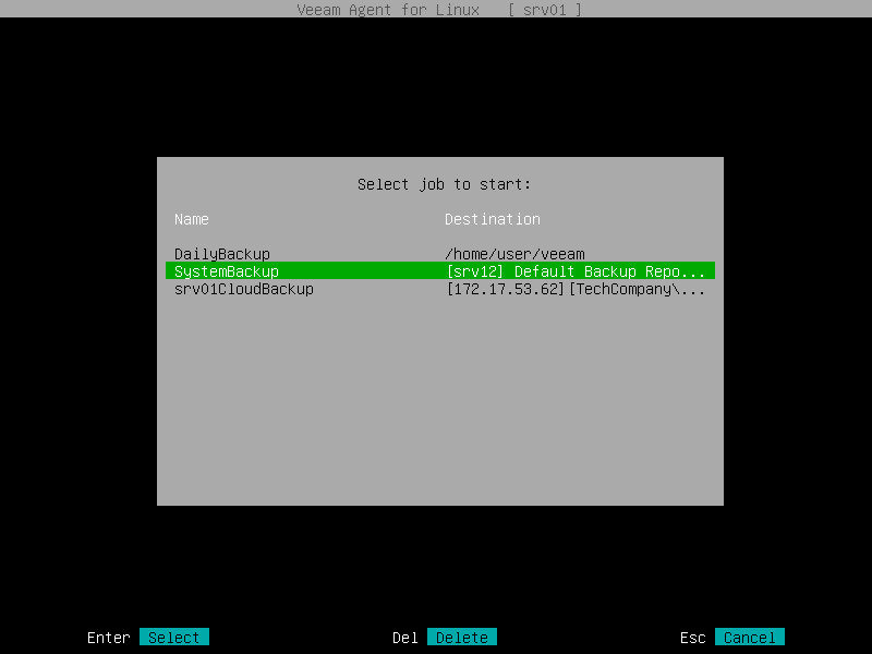 Starting Backup Job from Control Panel