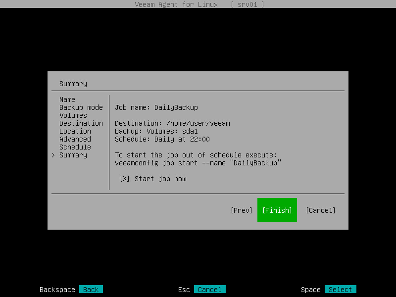 Step 9. Review Backup Job Settings