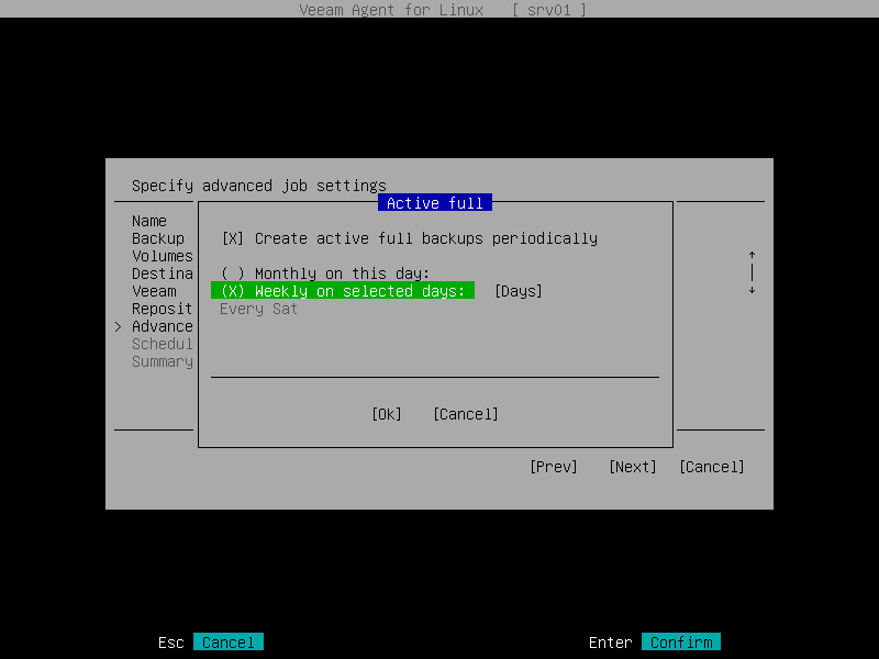 Active Full Backup Settings