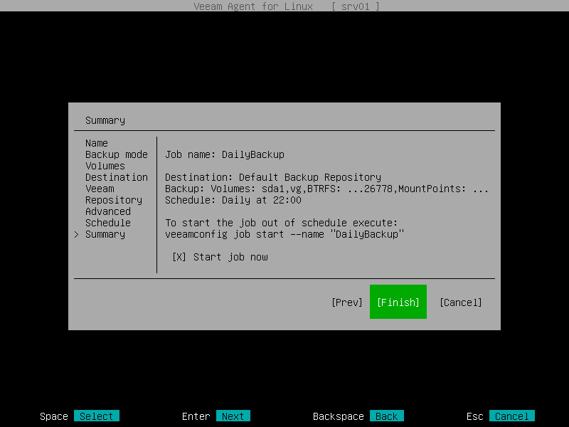Step 9. Review Backup Job Settings
