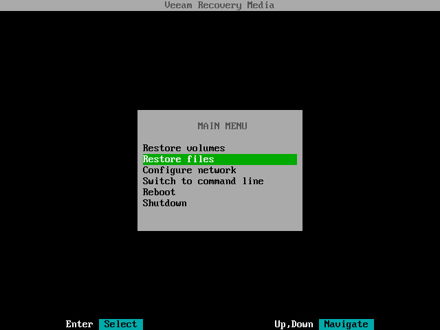 Step 3. Launch File Level Restore Wizard
