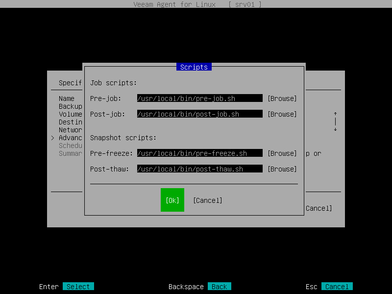 Script Settings