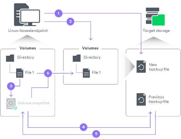How File-Level Backup Works