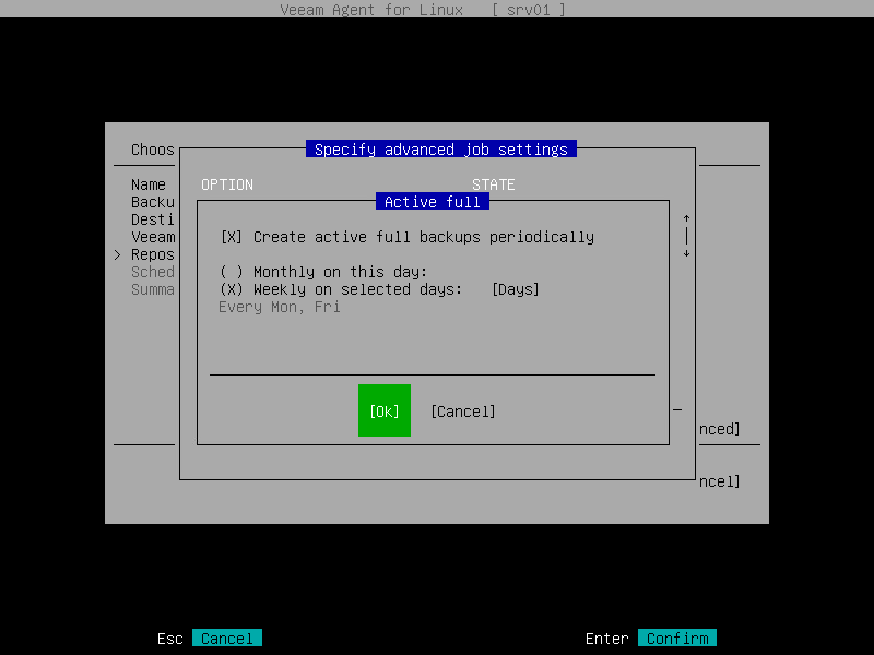 Active Full Backup Settings