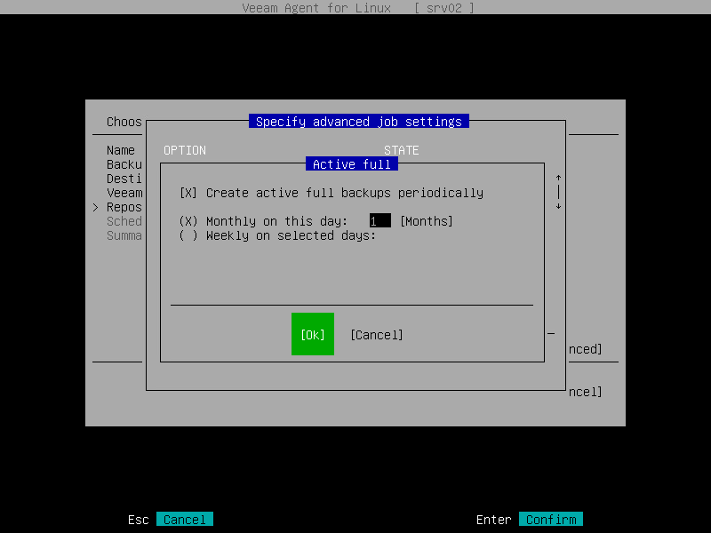 Active Full Backup Settings