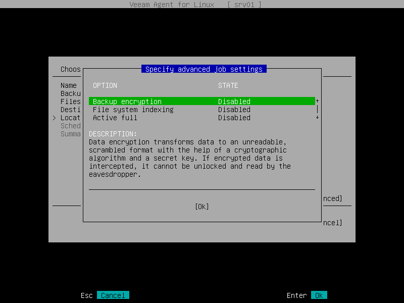 Step 8. Specify Advanced Backup Settings