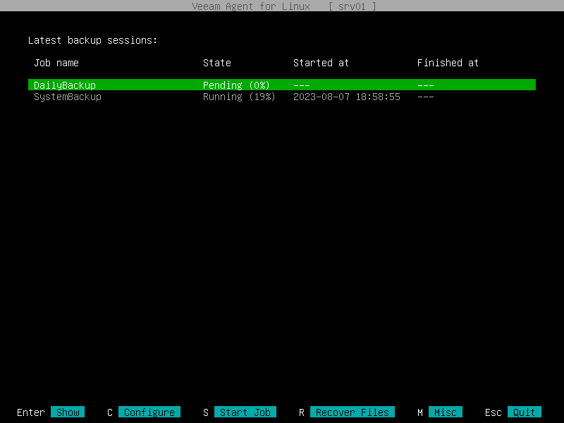 Starting Backup Job from Control Panel