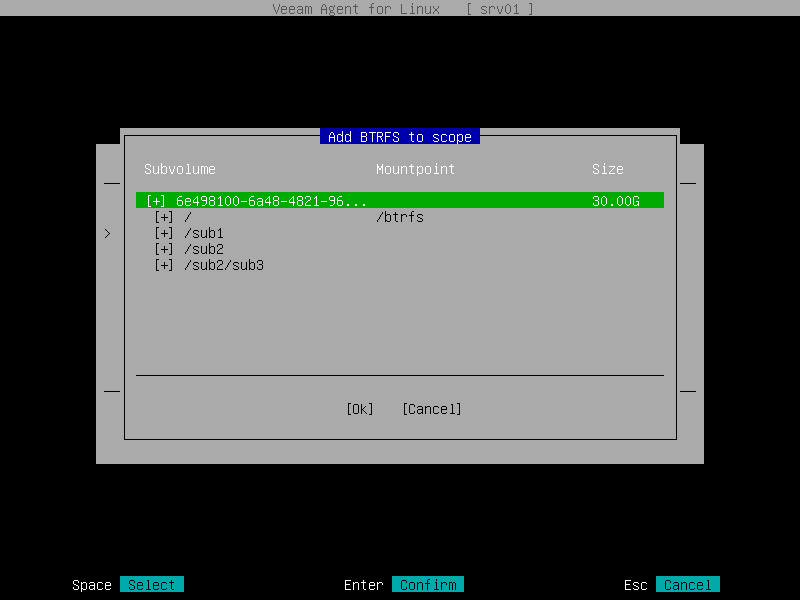Selecting Volumes to Back Up