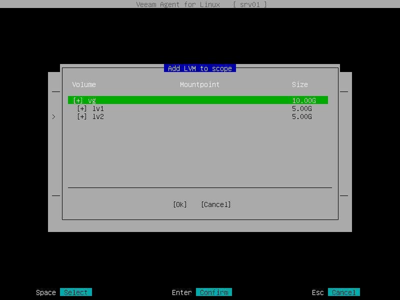 Selecting Volumes to Back Up
