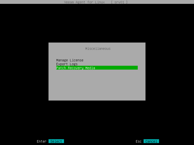Creating Custom Veeam Recovery Media with Control Panel