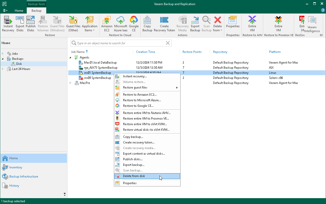 Delete Veeam Agent Backup from Disk
