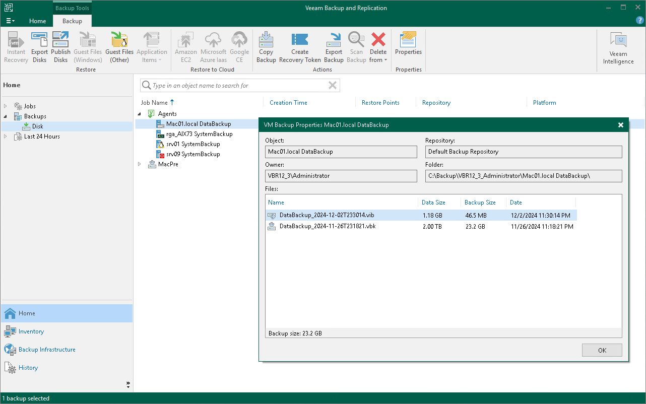 View Veeam Agent Backup Properties