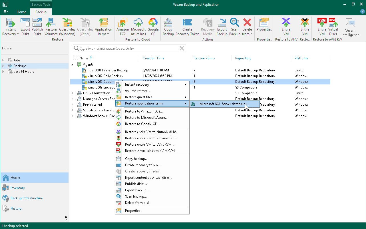 Restore Application Items