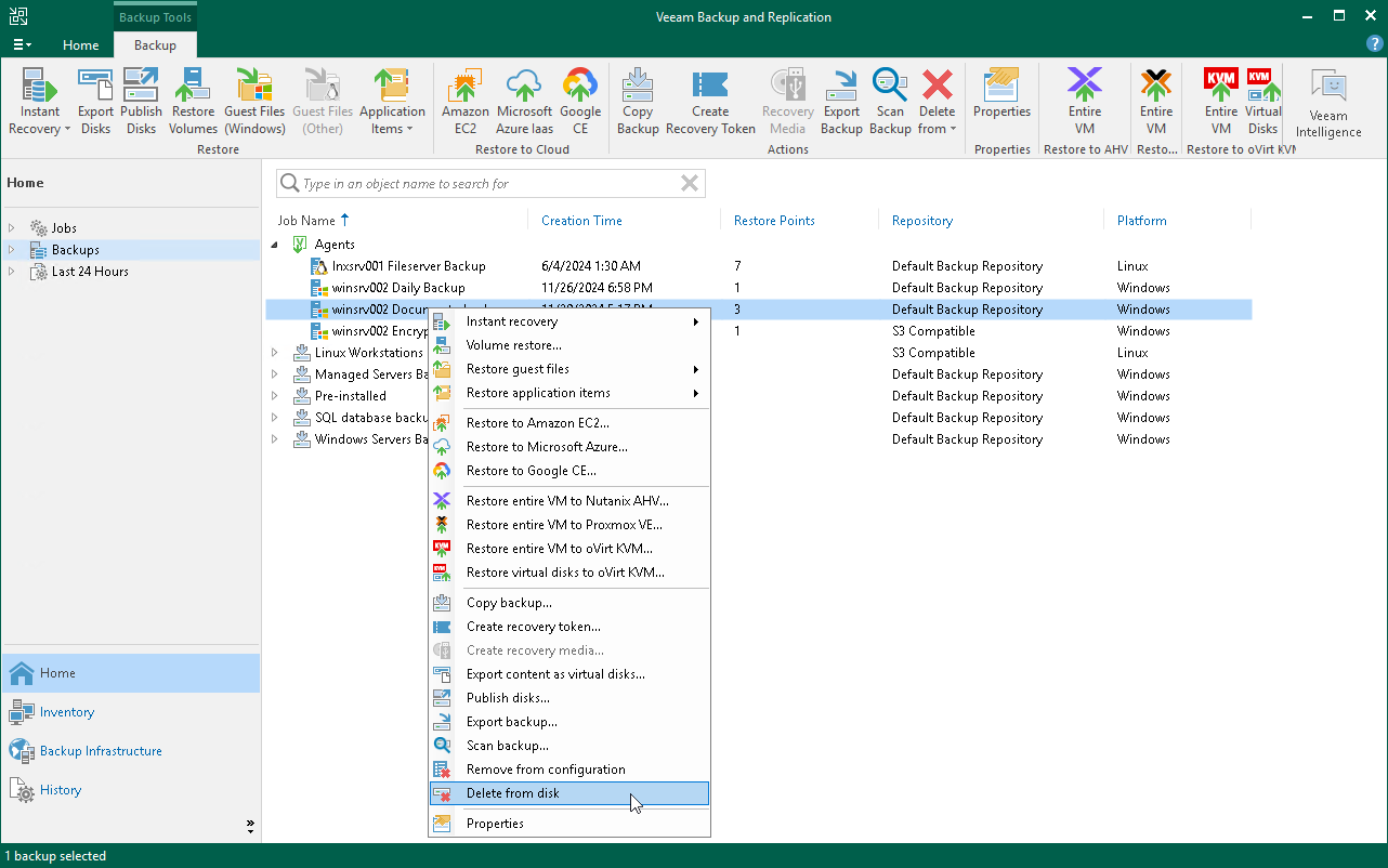Delete Veeam Agent Backup from Disk