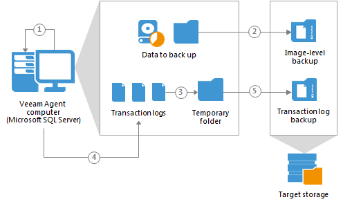 How Microsoft SQL Server Logs Backup Works