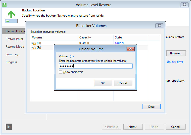 BitLocker Encrypted Volumes Support