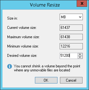 Step 8. Resize Restored Volumes