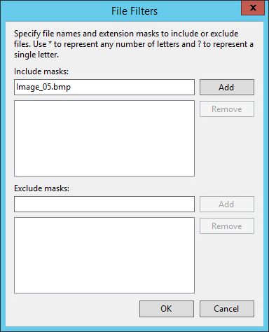 Use Filters to Define File-Level Backup Scope