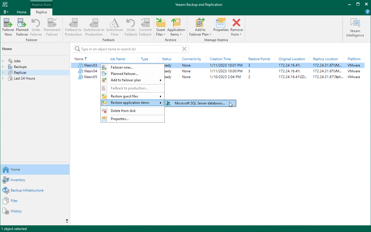 Restore Application Items