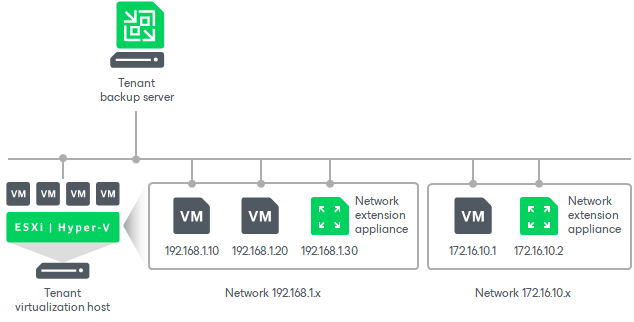 Network Extension Appliance