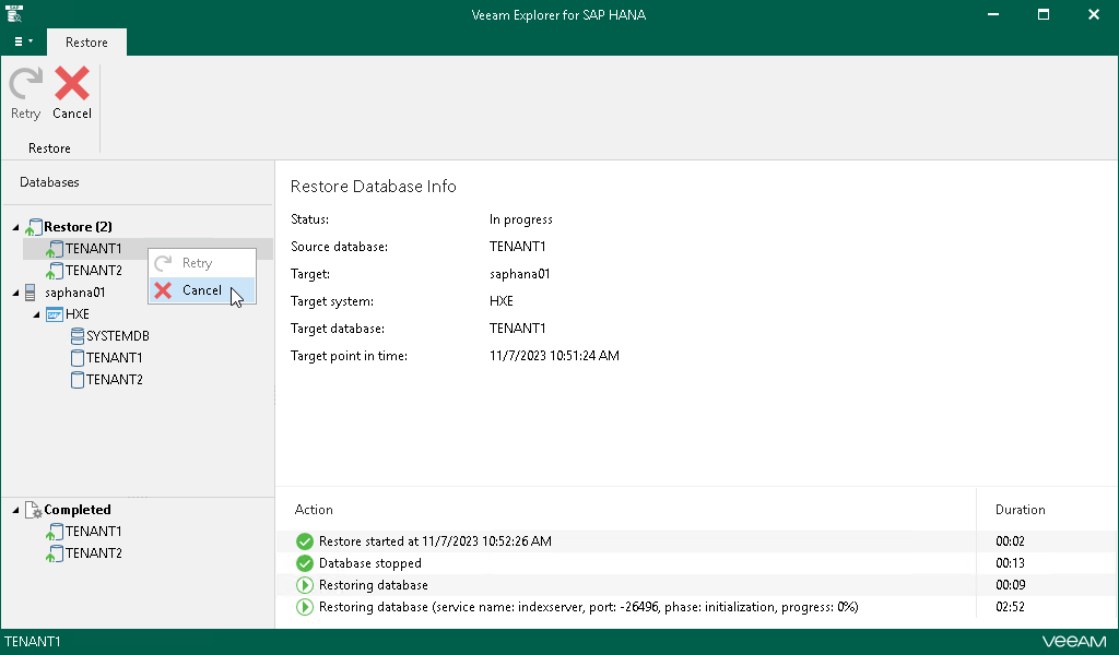Finalizing Restore Session