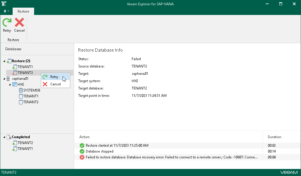 Finalizing Restore Session