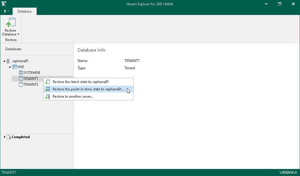 Launching Restore Wizard