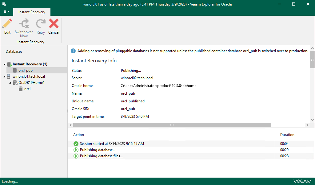 Finalizing Instant Recovery Session