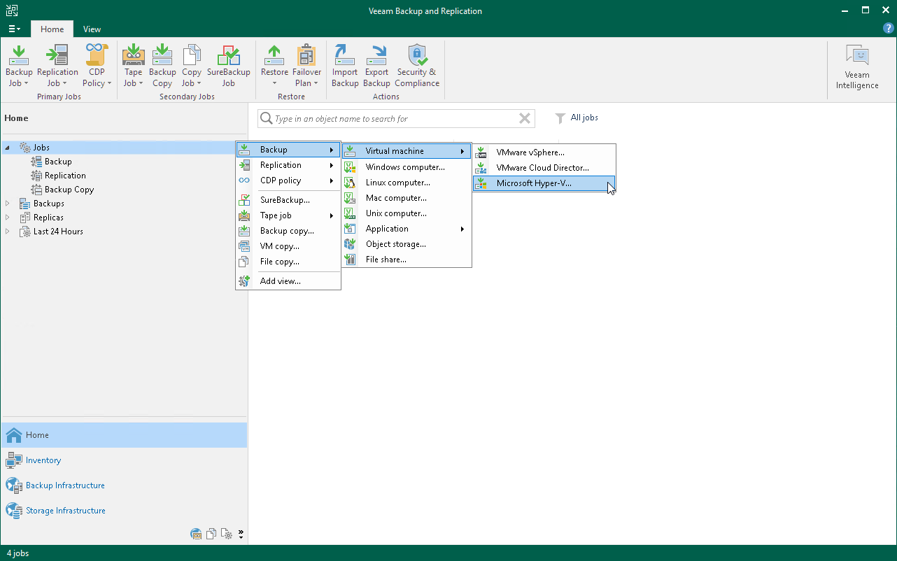 Launch New Backup Job Wizard