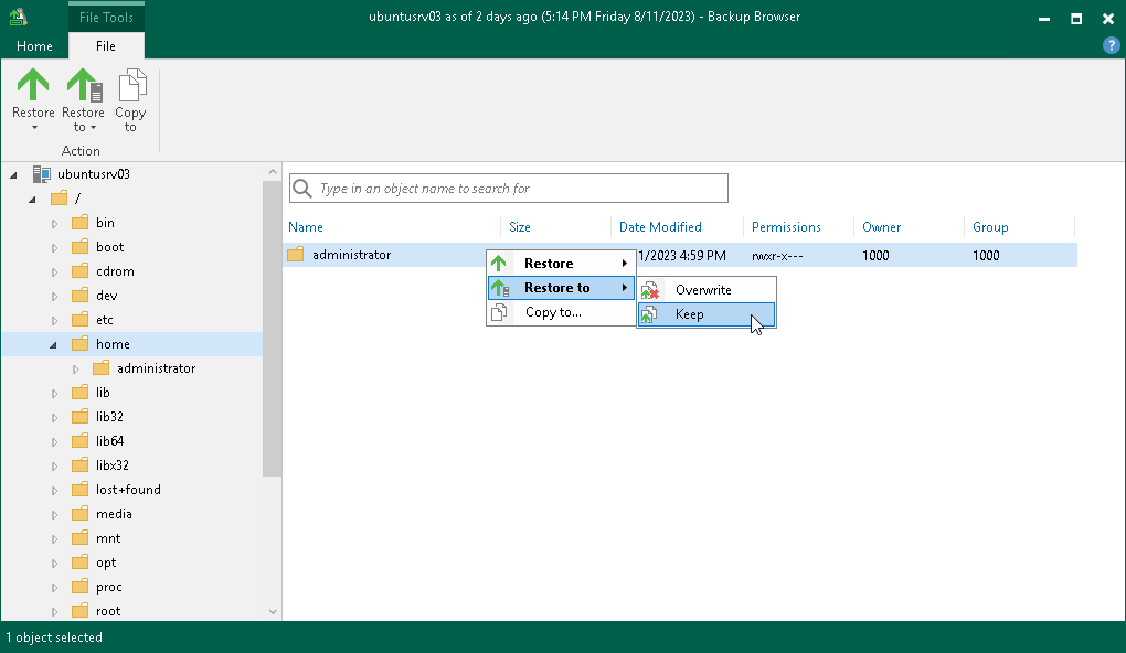 Step 8. Finalize Restore