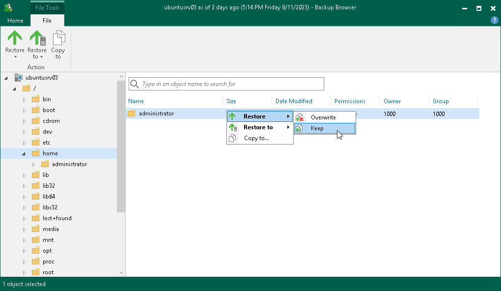 Step 8. Finalize Restore
