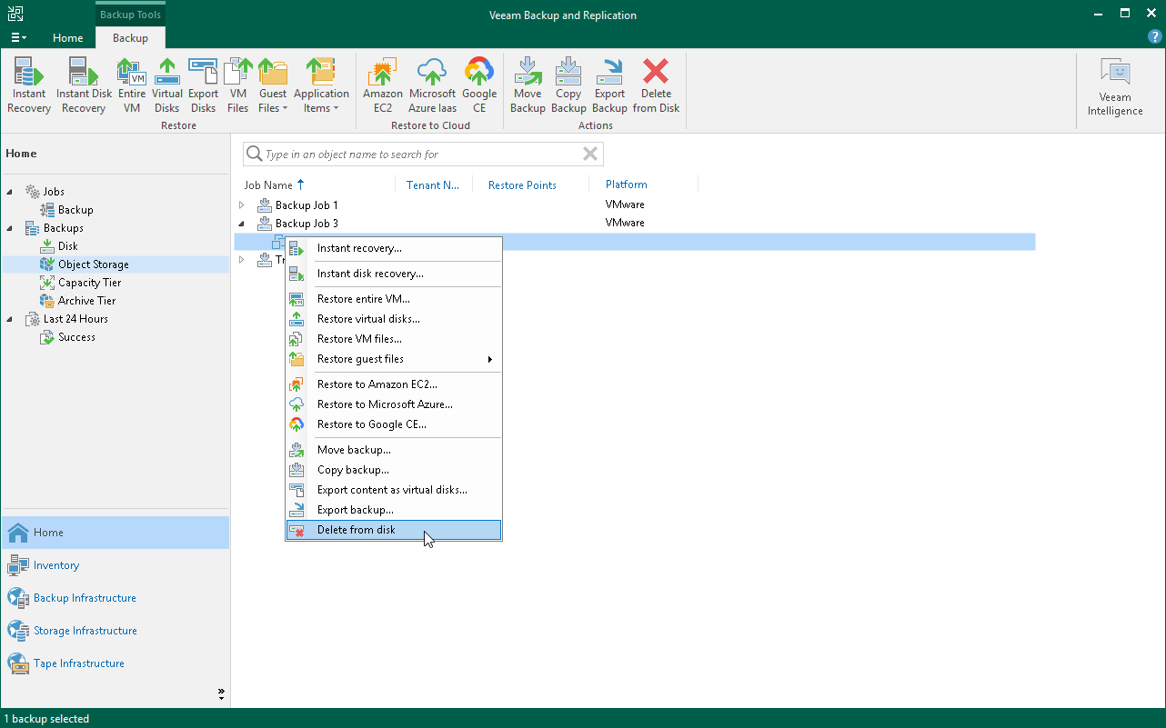 Delete Backups from Object Storage Repositories