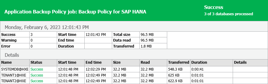 View Backup Policy Report