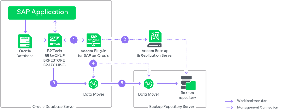 How Backup Operations Work