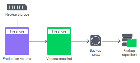 NFS and SMB (CIFS) Protocols