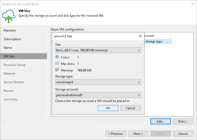 Step 4. Specify VM Size and Disks